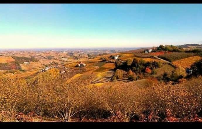 Maison Younesco - Villa Indipendente Exclusive Castagnole delle Lanze Bagian luar foto